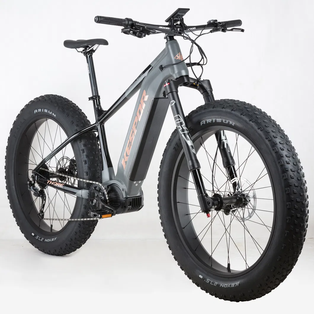 27.5*4.5 Inch Fat Tire Snow Dirt Electric Bike Bicycle with 52V 1000W MID Drive Motor