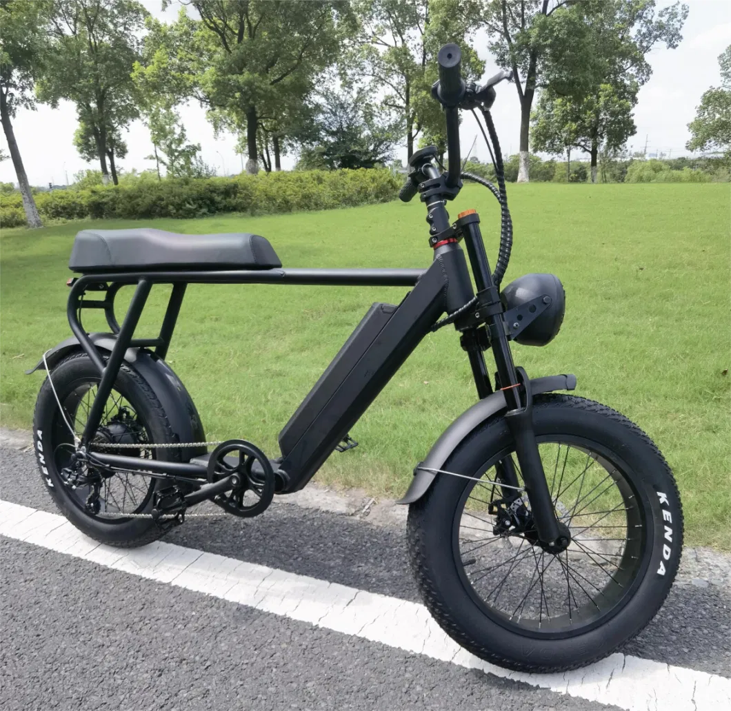 Fast Delivery Electric Bicycle Is Cheap 6-Speed 48V 500W Fat Urban Electric Bike Adult Outdoor 20 Inch