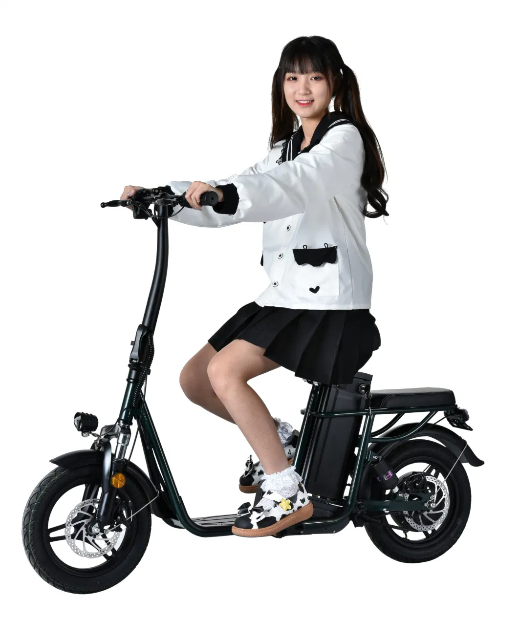 12 Inch Folding Fat Tire Electric Bike 36V/10A Adult Electric Bicycle