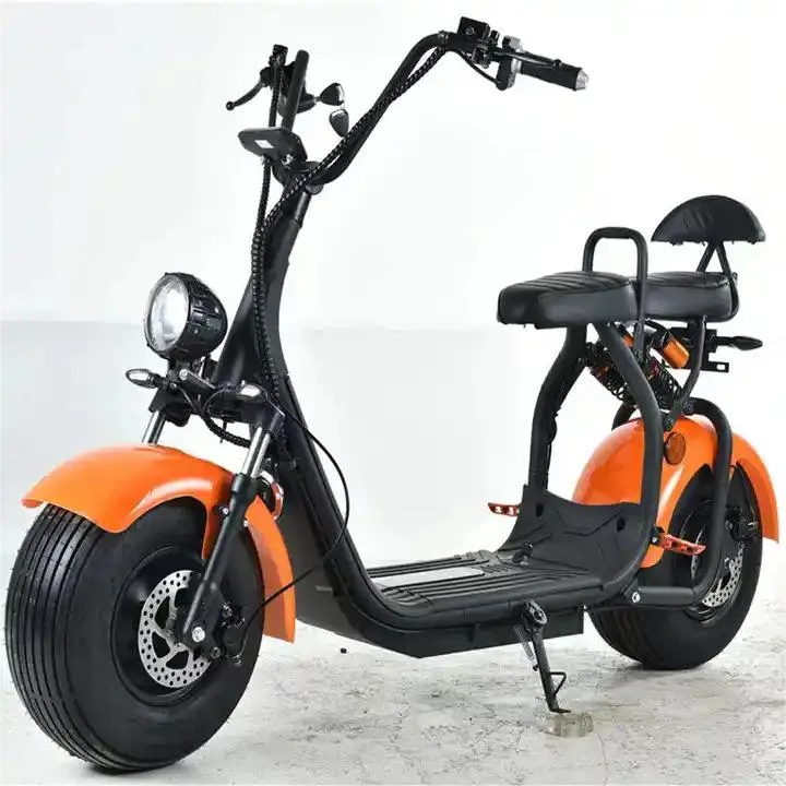 Hot Sale Electric Scooter 48/60V 20ah 2 Seats E Bike Electric Bicycle