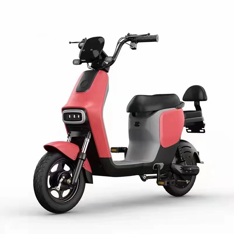 Tjhm-010dd Electric Vehicle 48V Bicycle Adult Male and Female Battery Car with Pedal Can Be Labeled E-Scooters E-Bike for Adult