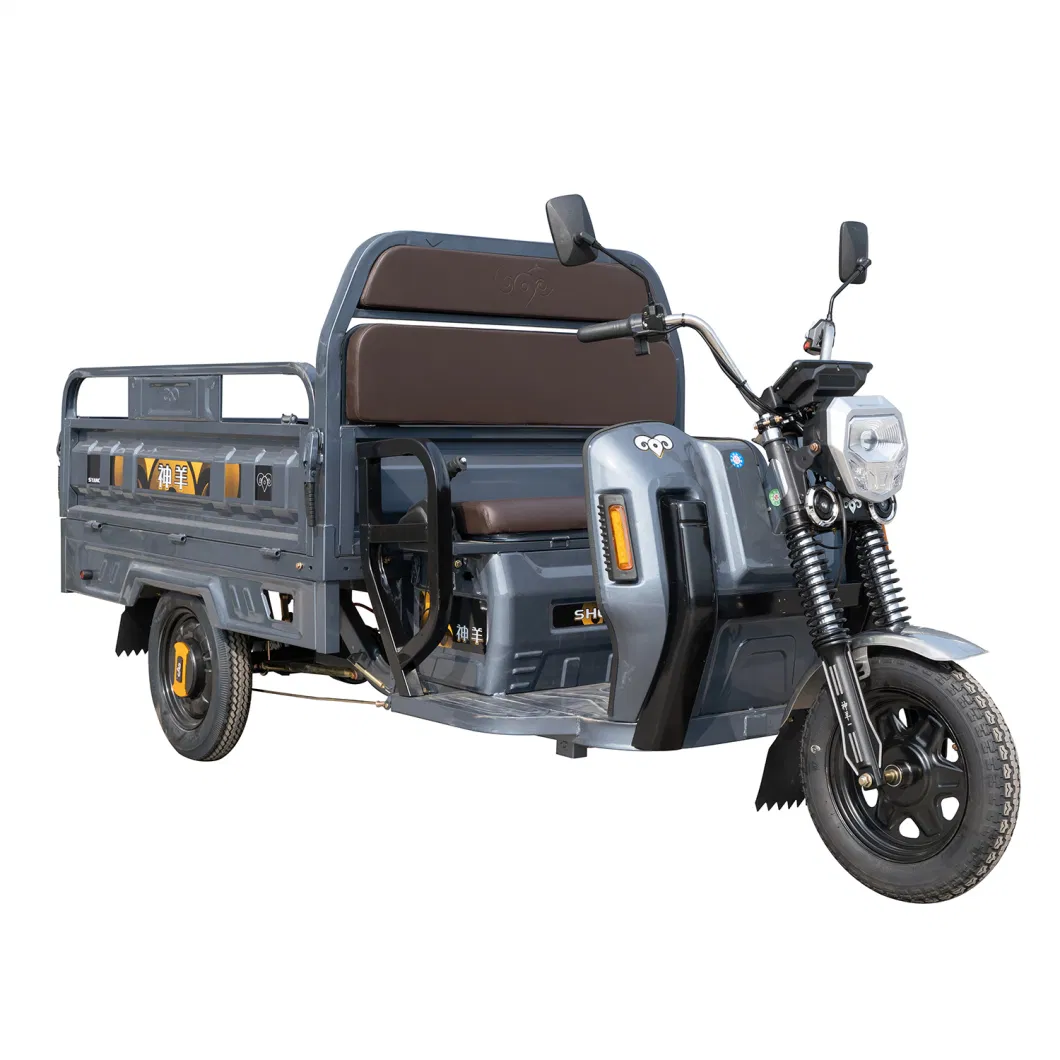 1000W Cargo Electric Trike Hot Sale