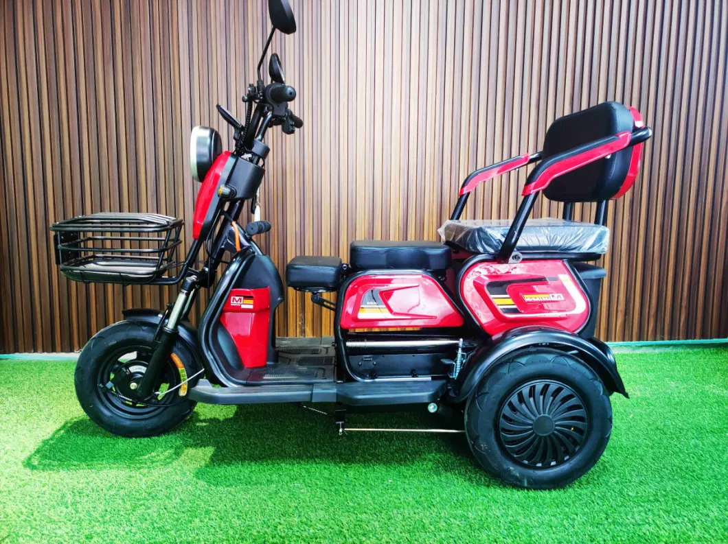 New China Factory Cool Leisure Tricycle with Electric Tricycle with Recreational Motorcycle