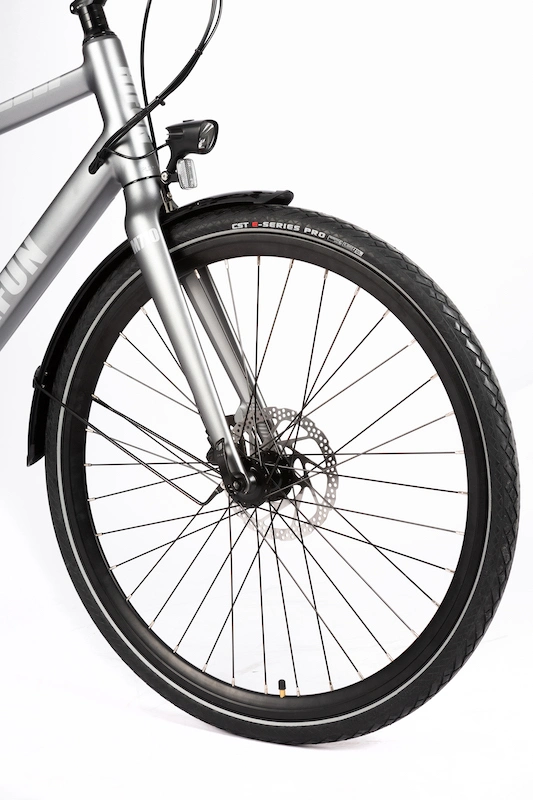 Classical City Electric Bicycle 250W Ebike