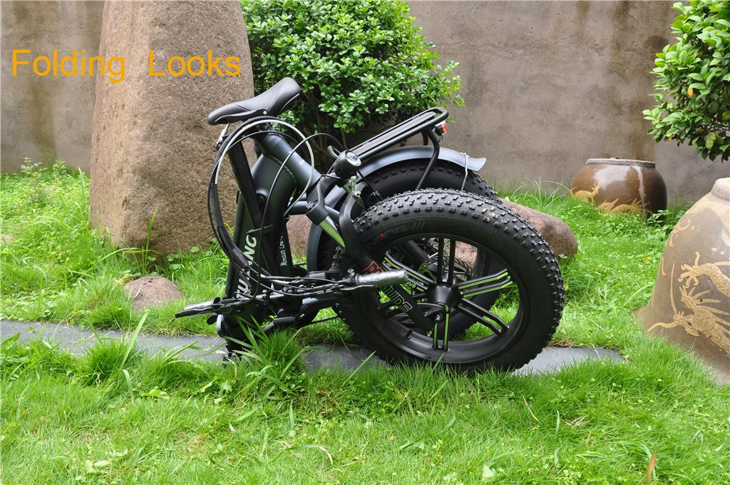 OEM 500/750W 48V 20&quot; High Quality Foldable/Folding Fat Tire Ebike, Fat Electric Bicycle, Fat Electric Bike