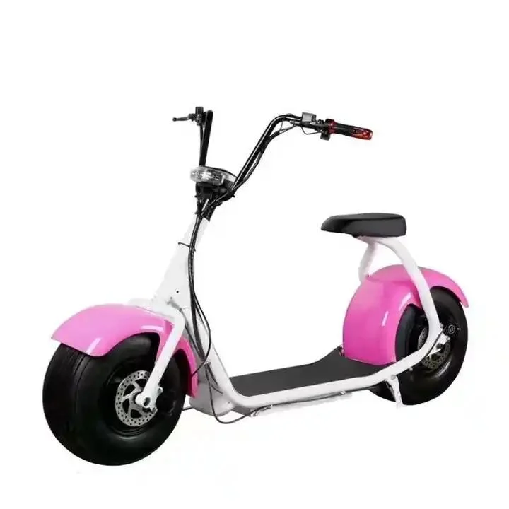 Hot Sale Electric Scooter 48/60V 20ah 2 Seats E Bike Electric Bicycle