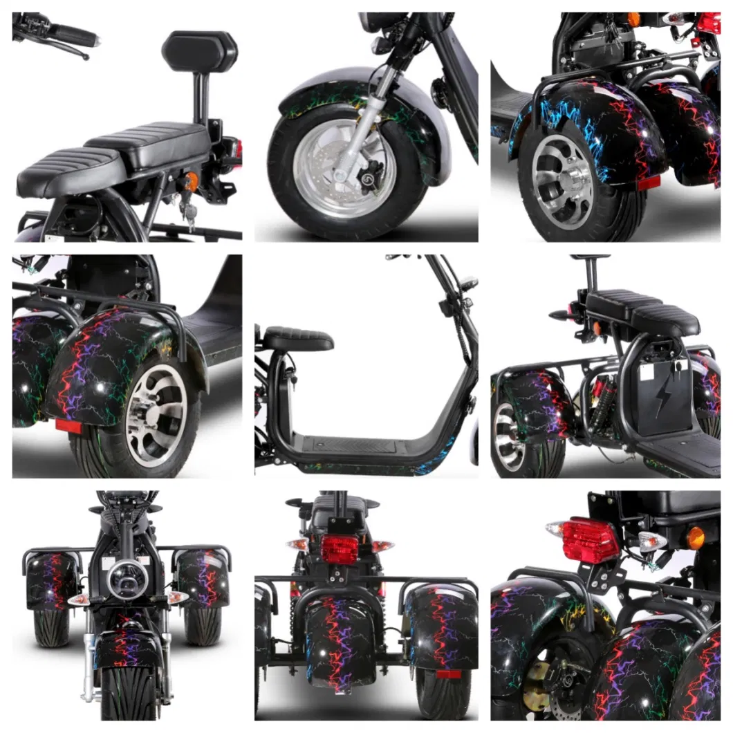 Tricycle Coc 3-Wheel Three Wheel Citycoco Electric Motorcycle EEC