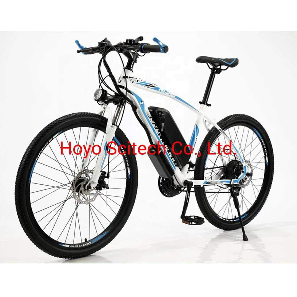 E-Bicycle E-Bike Electric Bike Electric Bicycle From China