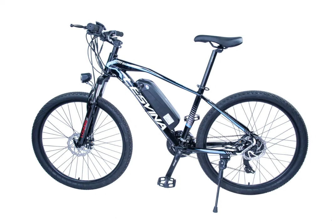 36V 300W Lithium Battery Electric Bicycle Mountain Ebike