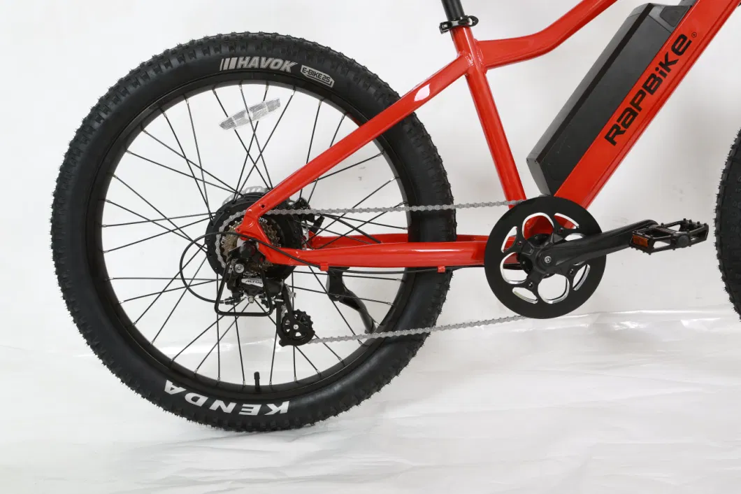 Am2605large Capacity Lithium Battery Fat Tire MTB Ebike in Stock for Adult Two Tire