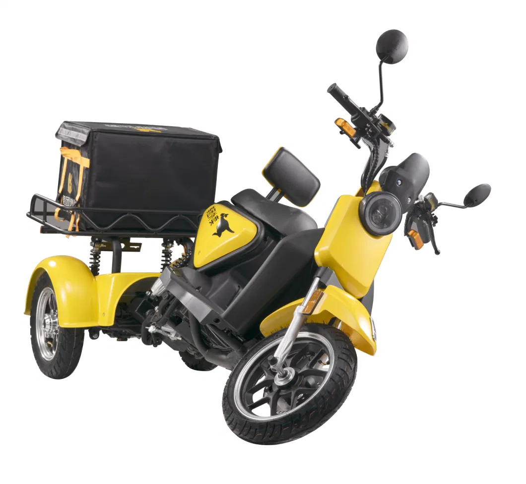 Hot Sell Electric Tricycle Motorcycle Electric Scooters 3 Three Wheel Disability with Padals