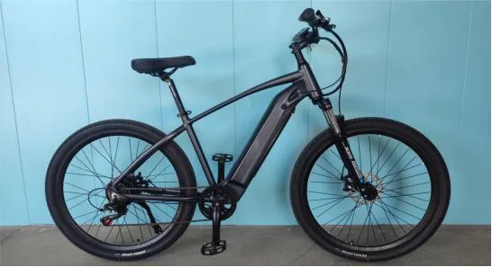 36V Hidden Battery Mountain Electric Bicycle 250W E-Bike