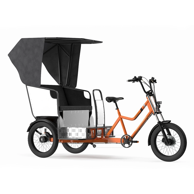 7 Speed High Power Three Wheels Cargo Tricycle Electric Bike with Cargo Box