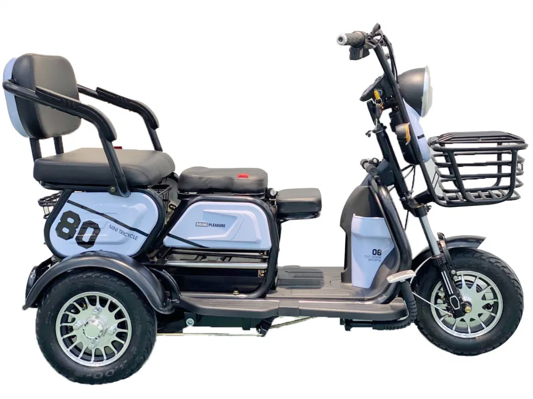 Cheap 3 Wheel Electric Tricycle Scooter E Bike 3 Wheeler Trike Moped for Handicapped