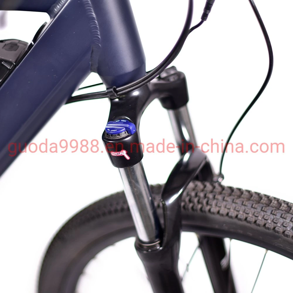 Lady/Man Bike Middle Motor Electric MTB Mountain Electric Bicycle E-Bike