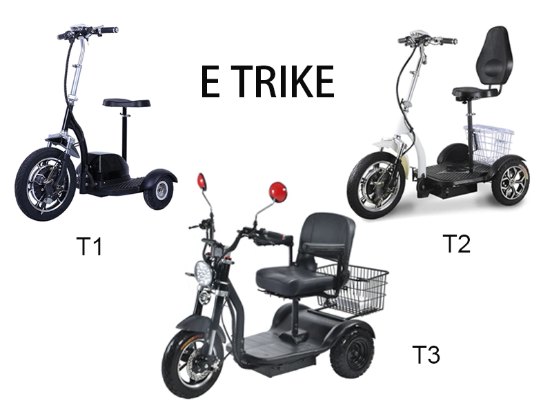 Three Wheels Big 16inch Tire Trike Adult Tricycle Electric Scooter 500W/350W Fat Electric City Bike