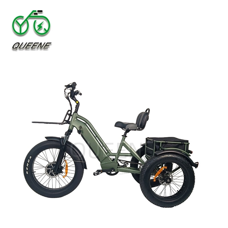 Queene 3 Wheel Electric Bicycle Mountain or Road Tire Electric Trike 20inch Three Wheel Electric Bike