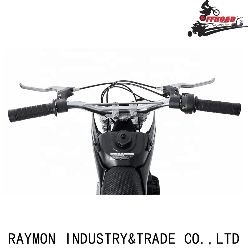 Raymon 2-Stroke Bike Cheap Dirt Bike 50cc Mini Motor Bike