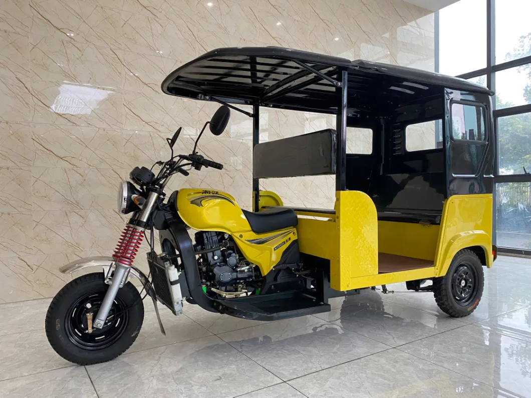 Adult Tricycle Motorcycle 150cc Three Wheels Water Cool Gasoline Passenger Adults
