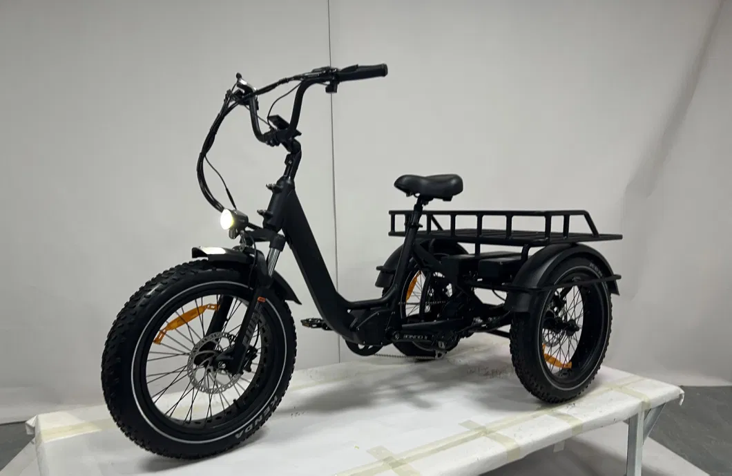 Dual Battery 48V40ah Fat Tire Electric Tricycle 3 Wheel Ebike