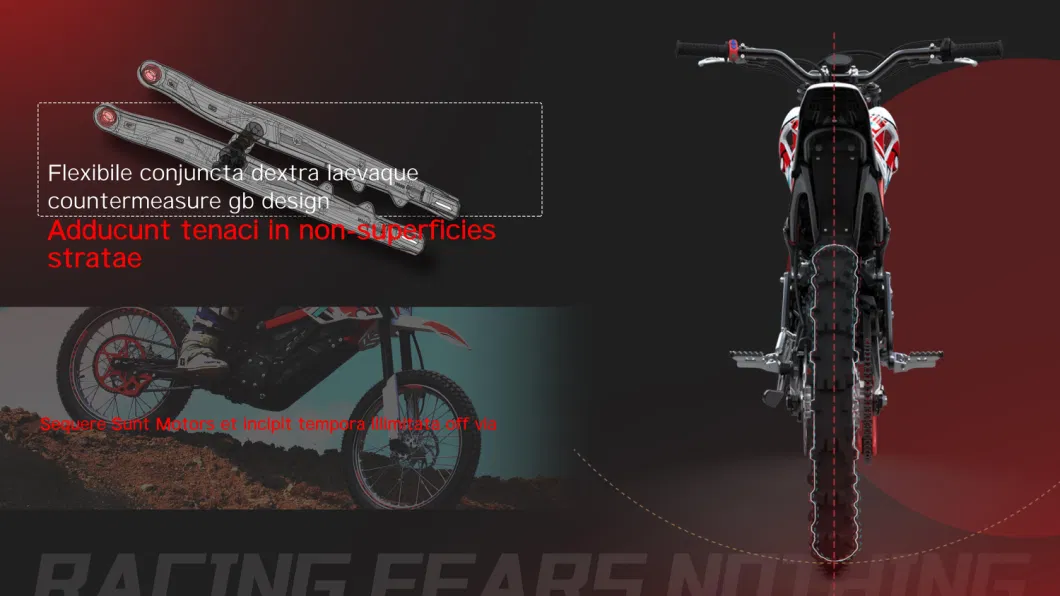 Apollo Rfn Ares Rally PRO Electric Motorcycle off Road Electric Dirt Bike Max 11kw Electric Bike