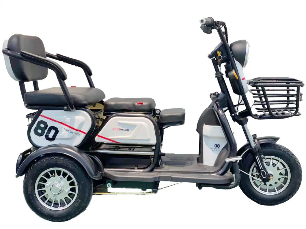 Cheap 3 Wheel Electric Tricycle Scooter E Bike 3 Wheeler Trike Moped for Handicapped