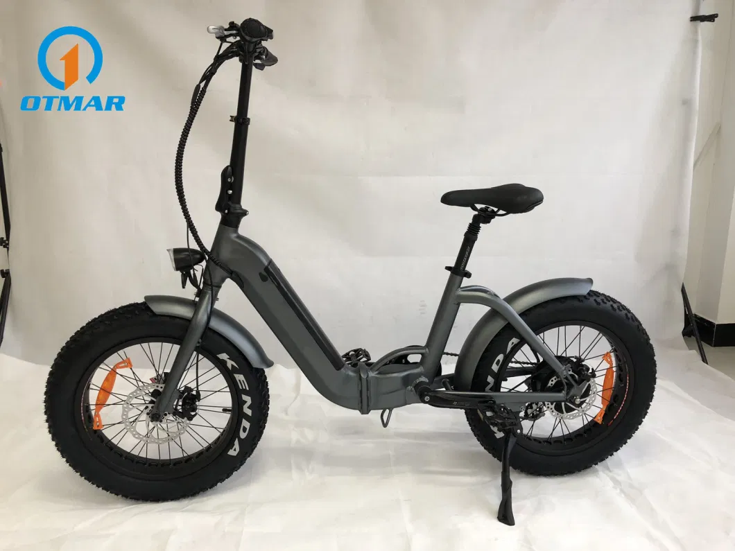 2023 New Model Folding Rear Motor Electric Bicycle