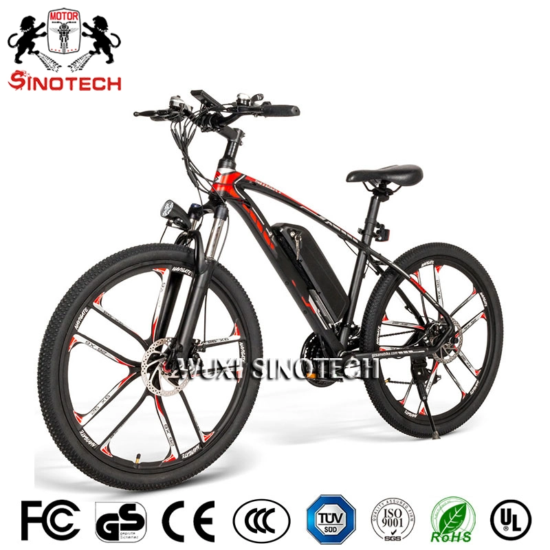 Fast Delivery Ebike Electric Bike 48V 350W Rear Motor Electric Bicycle Folding Ebike