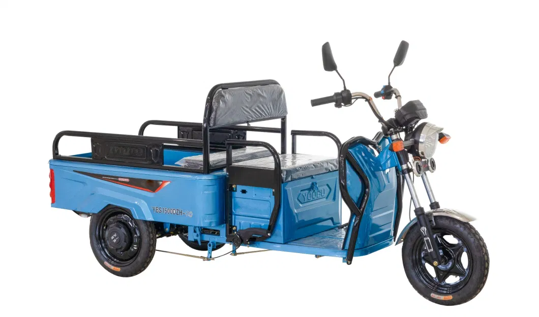 Factory Price Customize Electric Cargo Tricycle 3 Wheel Electric for Cargo with Cheap Price