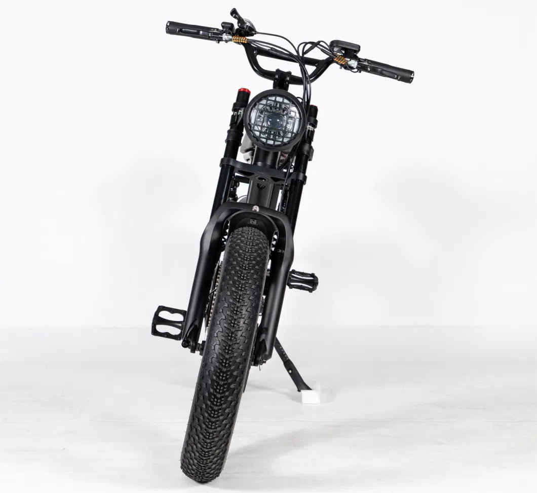 The Cheapest Electric Bicycle Selling 20ah Lithium Battery Adult Electric Bike