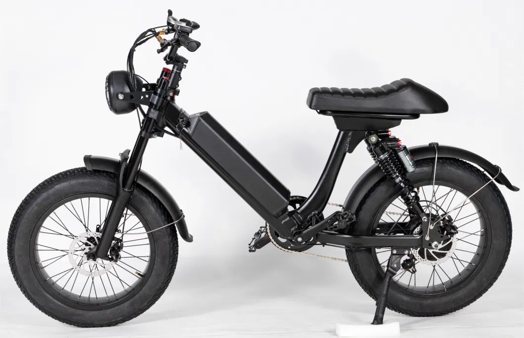 The Cheapest Electric Bicycle Selling 20ah Lithium Battery Adult Electric Bike