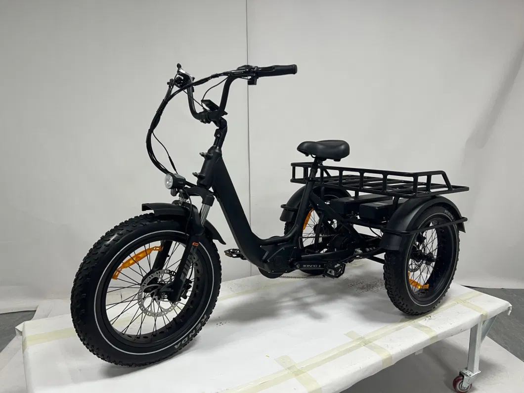 Dual Battery 48V40ah Fat Tire Electric Tricycle 3 Wheel Ebike
