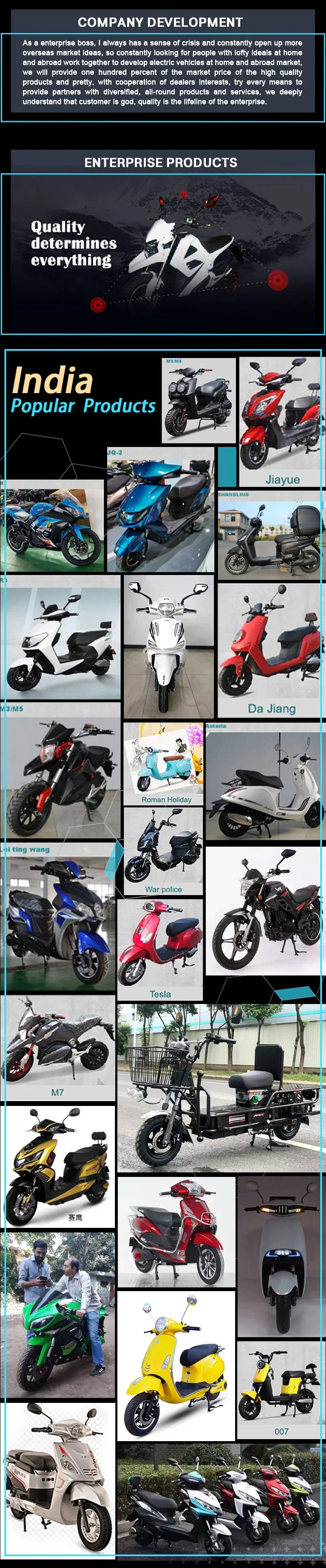 New Electric Motorcycle Model Motor and High Speed Double Disc