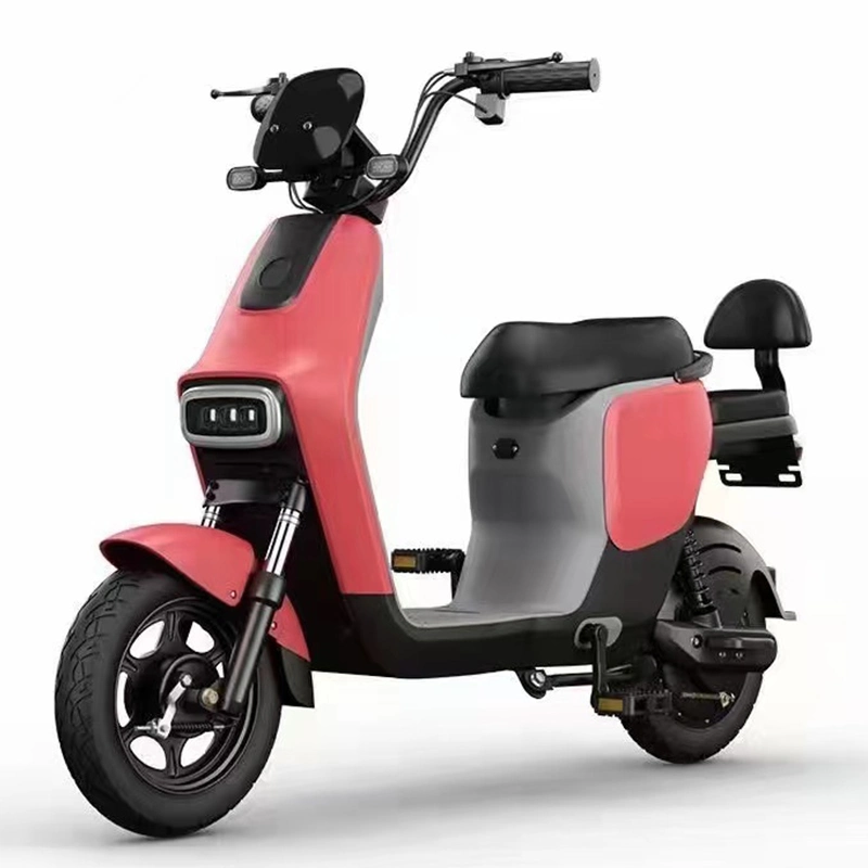 Adult City E-Bike 48V 350W Electric Bicycle