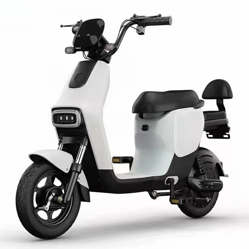 Adult City E-Bike 48V 350W Electric Bicycle