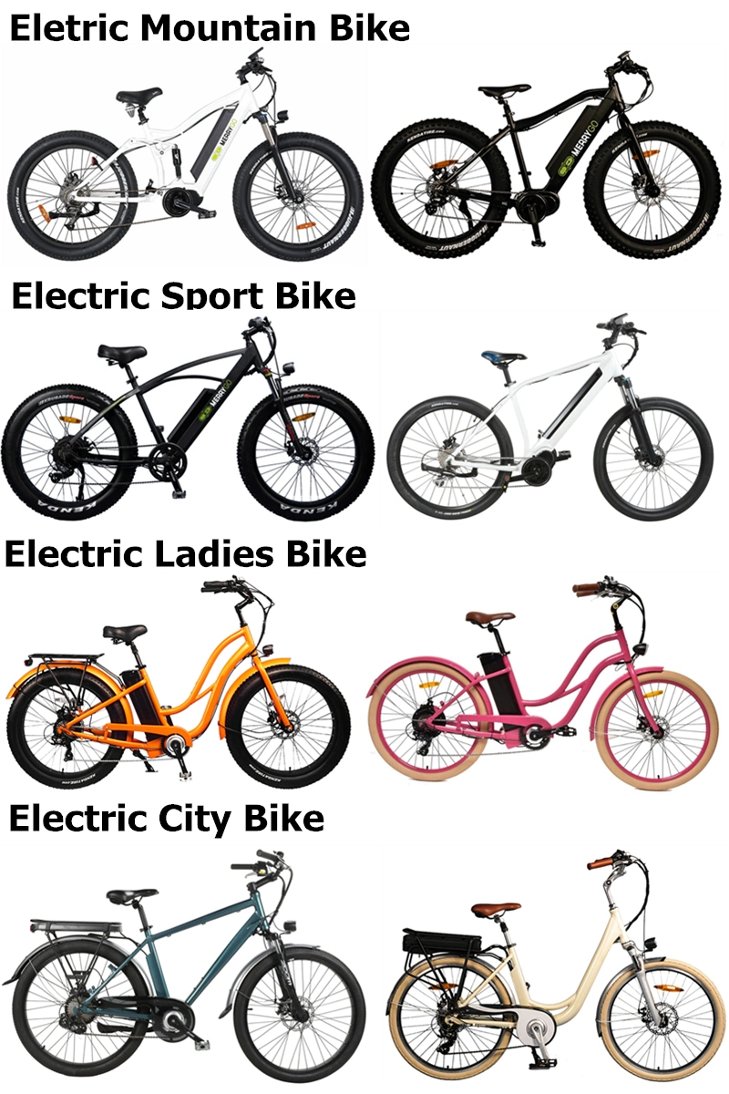 26inch High Power Lithium Battery MTB Speed China Electric Bike High Speed