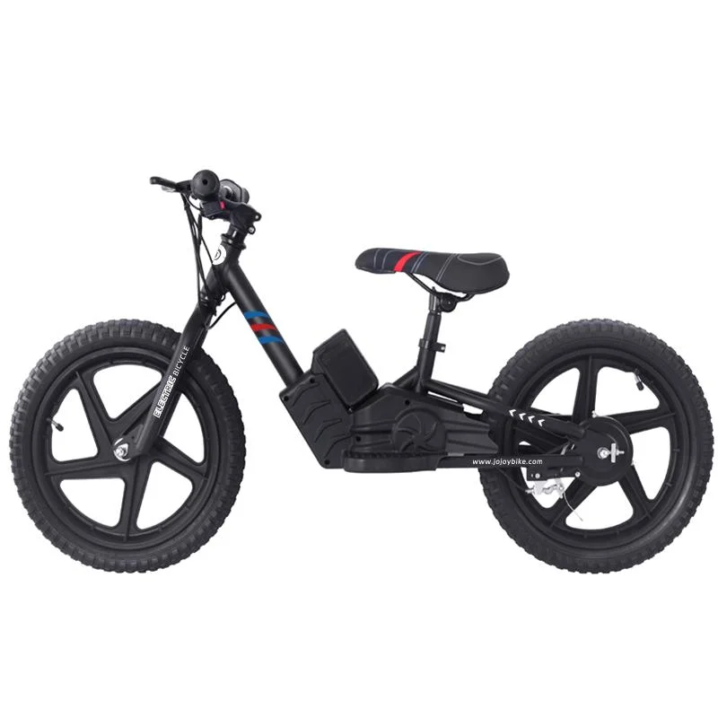 Budget-Friendly Kids&prime; 24V E-Bike with Motor and Fat Tires