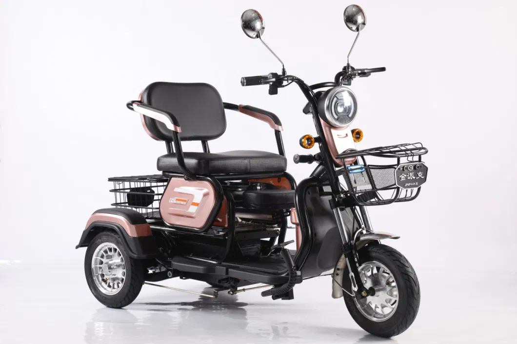 Factory Direct Sale 600W48V Three-Wheel Electric Bicycle and Full Vehicle Accessories