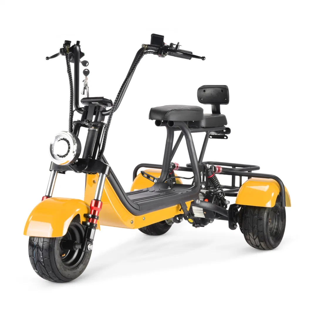 New Arrival Mini Electric Scooter Adults Citycoco 800W Bike