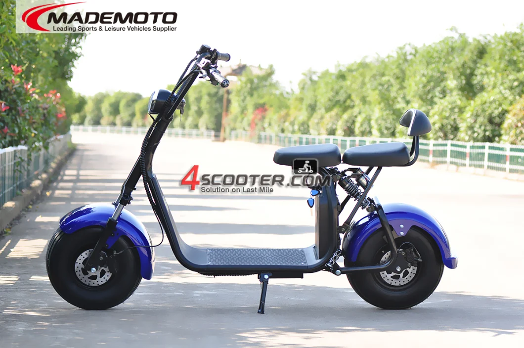 160km Long Range Double Battery Citycoco 1000W 1500W 2000W Fat Tire Motor Bike Electric Scooter