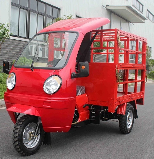 Cargo Motorcycle Electric Cargo Tricycle Auto Rickshaw Passenger Wheel Motorcycle