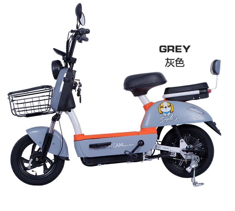 Electric Scooter Adult Electric Motorcycle Cheap Price