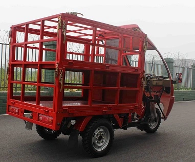 Cargo Motorcycle Electric Cargo Tricycle Auto Rickshaw Passenger Wheel Motorcycle