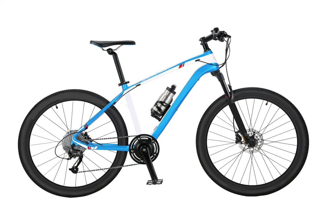 2023 Hot Sale Fashion Bicycle Electric Bike E-Bike