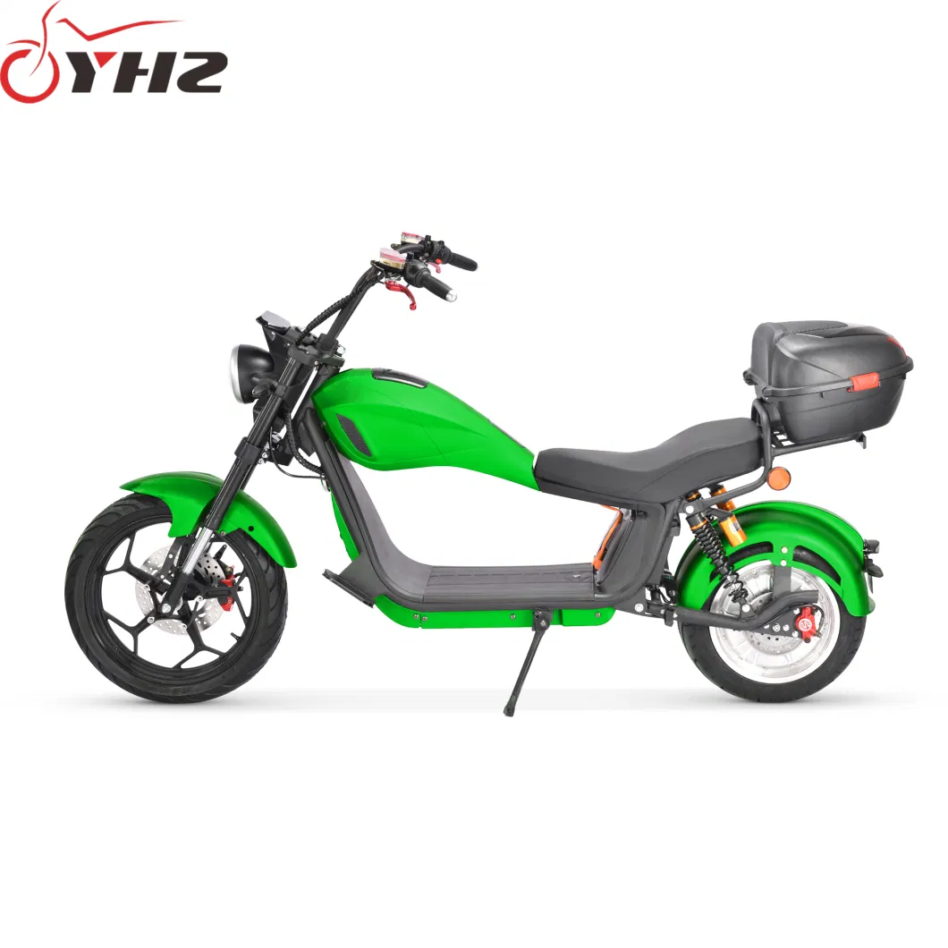 New Style Europe Road Legal Electric Bike 2000W Adult Chopper with EEC