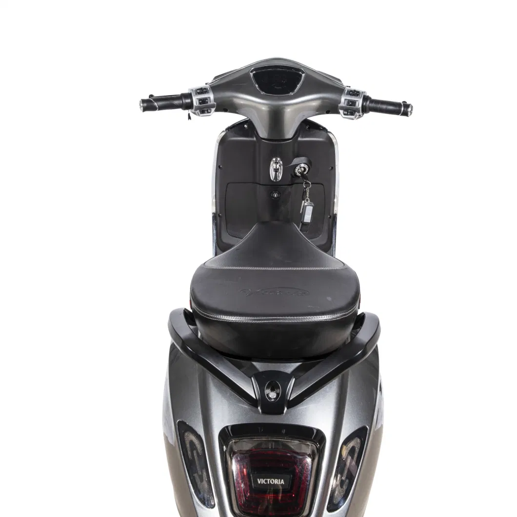 1000W-27h Motor Power Two-Wheel Electric Scooter/Electric Motorcycle/Electric Motorcycle Bike (TSL-3)