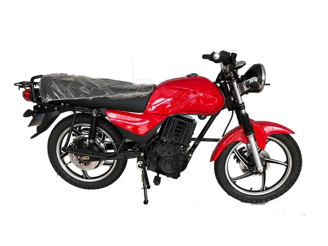 Hot Selling Affordable Electric Bike with LED Light High-Speed City Drive Electric Motorbike