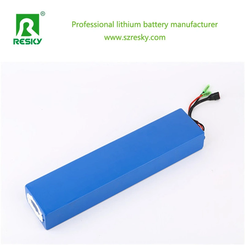 48V 20ah Lithium Battery for 1000W Electric Bicycle Scooter