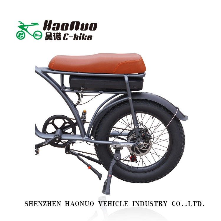 2023 New Model 26 Inch 48V 500watt Electric Bicycle