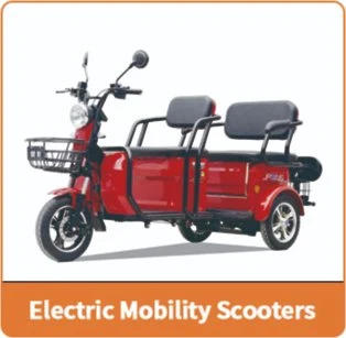 Battery Trike with 1000W Pedicab Open Body